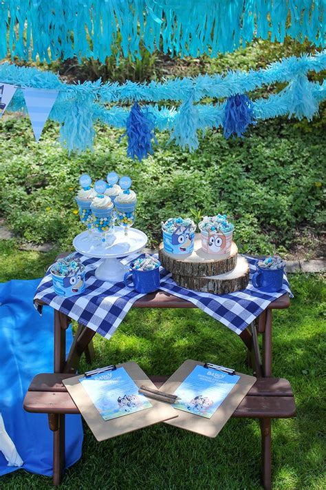 Bluey Backyard Birthday Celebration | Recipe | Backyard birthday, Backyard birthday parties, Fun ...