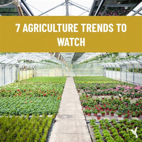 7 Agriculture Trends to Watch - Producers Stories