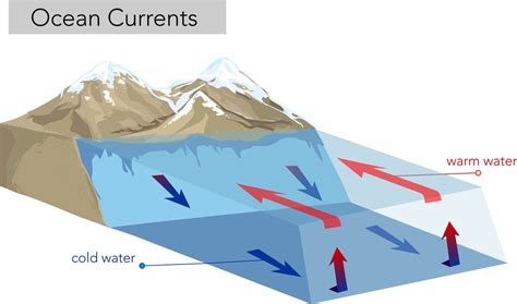 How Do Ocean Currents Work? — Kvaroy Arctic