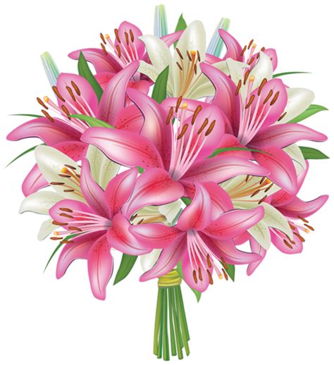 Download High Quality Flower clipart lily Transparent PNG Images - Art ...