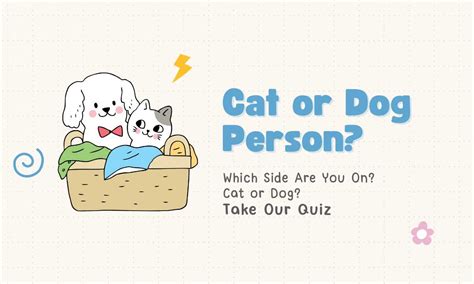 Are You a Cat or Dog Person? Take Our Quiz!