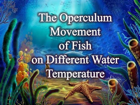 PPT - The Operculum Movement of Fish on Different Water Temperature PowerPoint Presentation - ID ...