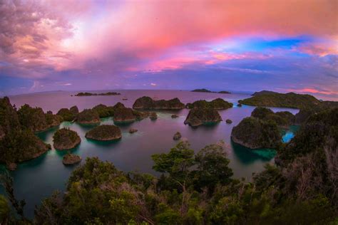 Liveaboard Indonesia Marine Photography