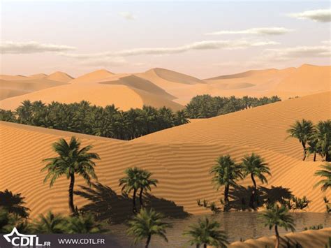 Top 10 : des oasis dans le désert de toute beauté ! | Desert ecosystem ...