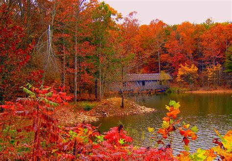 Green Mountain Nature Trail - Huntsville Alabama | Nature trail, Nature, Alabama travel