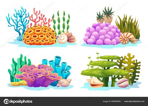 Set Underwater Coral Reefs Algae Seaweed Seashells Various Types Cartoon Stock Vector by ...