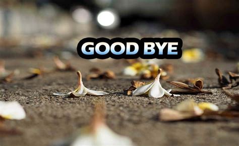 [100+] Goodbye Backgrounds | Wallpapers.com