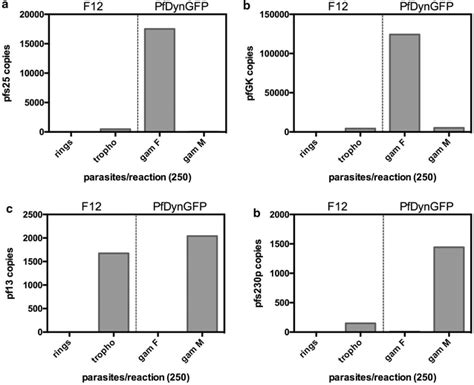 Gametocyte-specific expression of target genes. Copy number of the ...