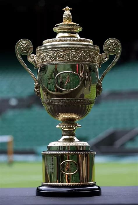 People only just discovering 'willy waving' reason Wimbledon trophy has ...