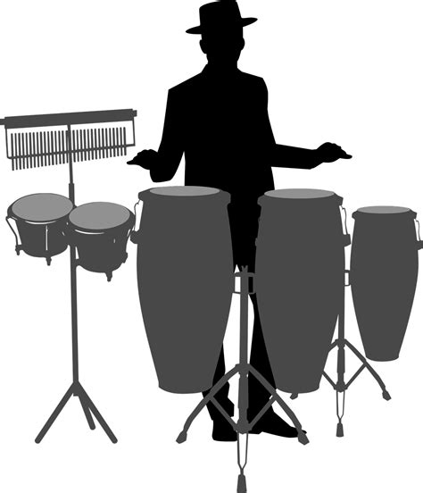 Download Conga, Drum, Bongo. Royalty-Free Vector Graphic - Pixabay