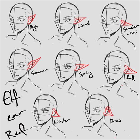 Elf Ear Reference - Reference Ear Drawing Clipartmag Ears | Growrishub