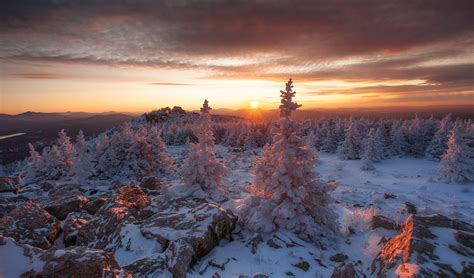 Russia, nature, trees, winter, sunlight, cold, snow, sunset | 1920x1127 ...