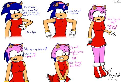 The Outfit (Sonic Tg Tf) by GuanineFox on DeviantArt