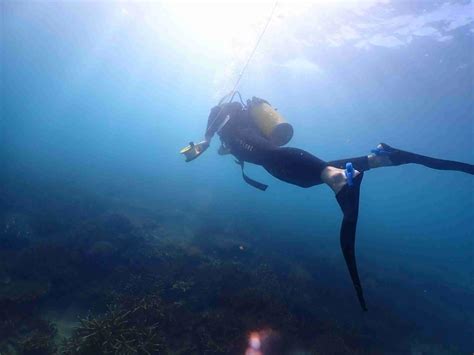 Scuba Diving Airlie Beach & Whitsundays