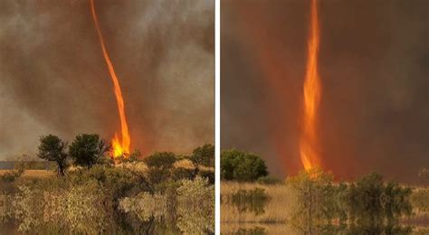 Australian Fire Tornado In Real Time - Video | eBaum's World