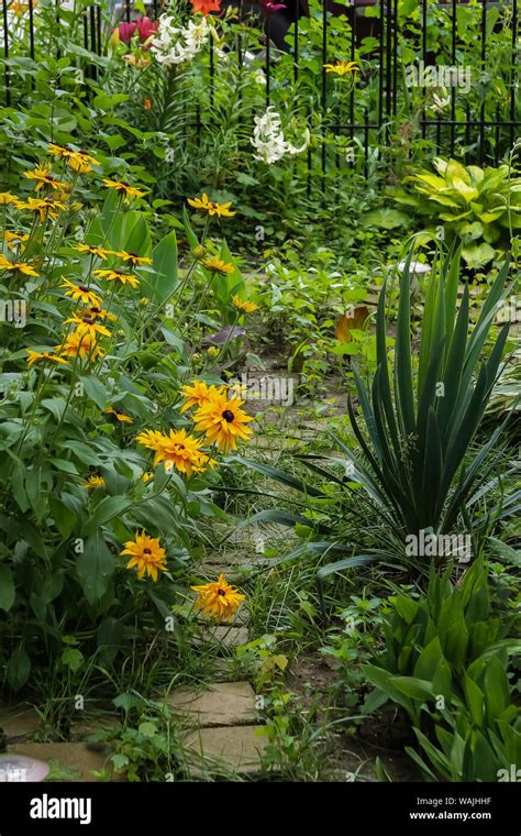 Wild garden path Stock Photo - Alamy