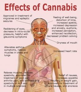 One page: Effects of Cannabis ‹ SeragPsych