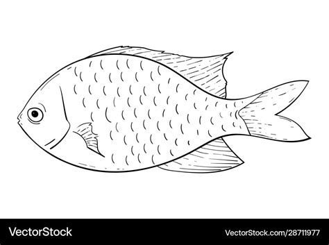 Fish black and white drawing Royalty Free Vector Image