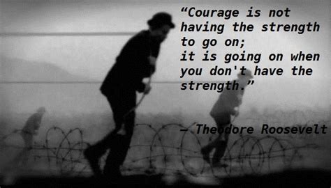 Theodore Roosevelt Quotes On Courage. QuotesGram