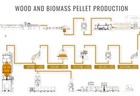 How does a biomass plant works - La Meccanica