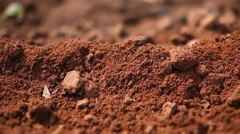 Close Up Snapshot Of Rich Red Clay Soil Texture In Agriculture Field ...