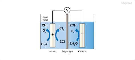 10 Electrolyzed Water Generator Manufacturers in 2024 | Metoree