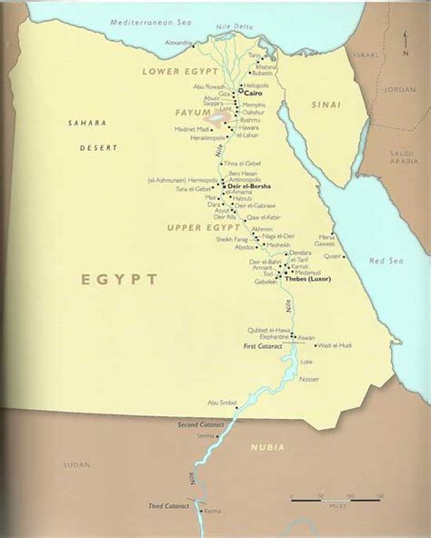 Caligrafía leopardo Maduro hierakonpolis map perdonar Júnior Novelista