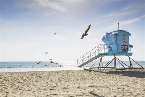 Guide to Carlsbad Beaches - La Jolla Mom