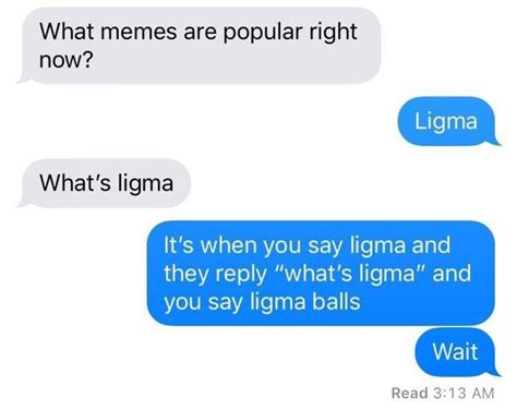 18 Ligma Memes That'll Keep You From Ever Asking "What's Ligma?" - Funny Gallery | eBaum's World