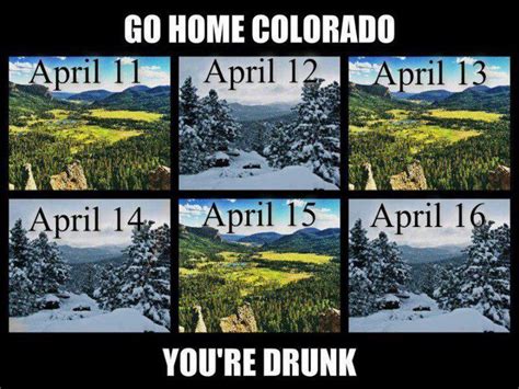 Pin on Colorado Memes