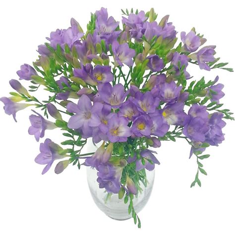 Lilac Charm Freesia Bouquet - Deluxe Freesia flowers express delivered in the UK by Clare Florist.