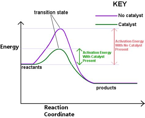 Définition du catalyseur - Dictionnaire de chimie | Organitzem