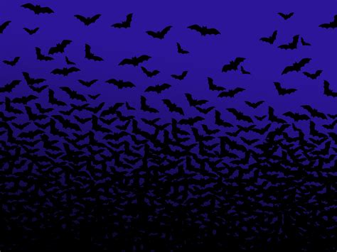 Bats Are Good - Halloween Wallpaper (526588) - Fanpop