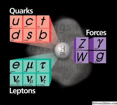 Diferencias entre leptones y quarks - 2022 - FíSICA