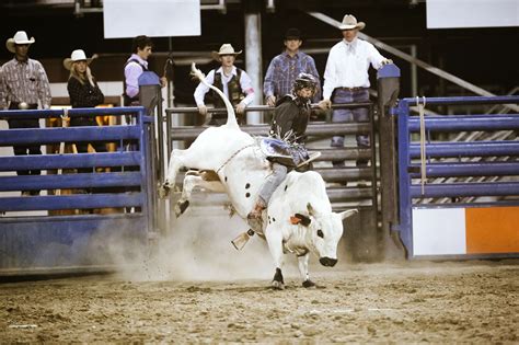 Cody Wyoming Rodeo Schedule 2024 - Lida Kakalina