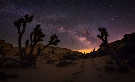 The Star Trail | Star trails, Joshua tree national park, Milky way