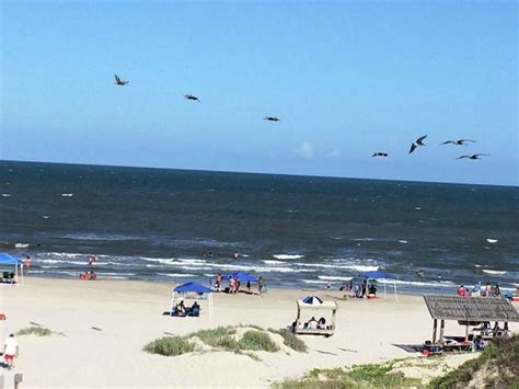 Padre Island National Seashore announces free entrance days for next year