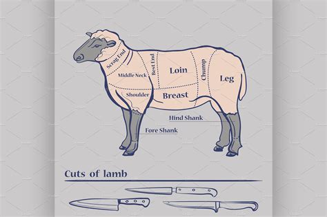 Sheep Cuts Of Meat Chart - Lamb Cuts & Cooking Methods | for the love of lamb™ - The spruce ...