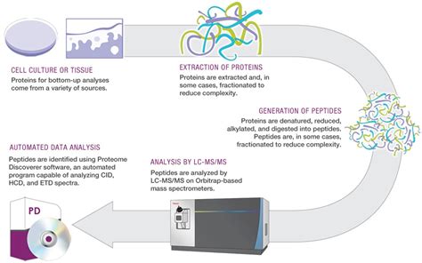 Proteomics and Protein Mass Spectrometry | Thermo Fisher Scientific - US