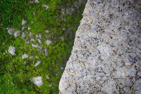 Hempcrete: Creating Holistic Sustainability With Plant-Based Building Materials | ArchDaily