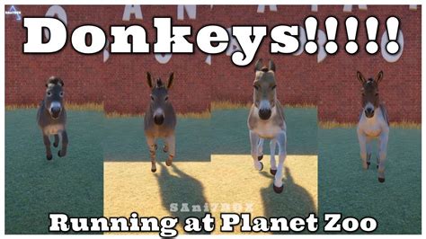 Donkey? More donkeys! See you at Planet Zoo! | North American, Somali, Onager, Kiang-donkeys ...