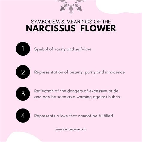 Narcissus Flower: Symbolism, Meanings, and History - Symbol Genie