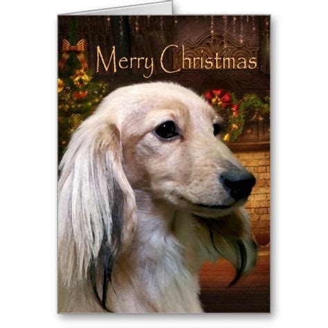 45 Dog Christmas Cards ideas | funny dog pictures, dog christmas card ...