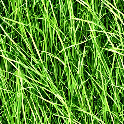 Grass Pattern Digital Graphic · Creative Fabrica