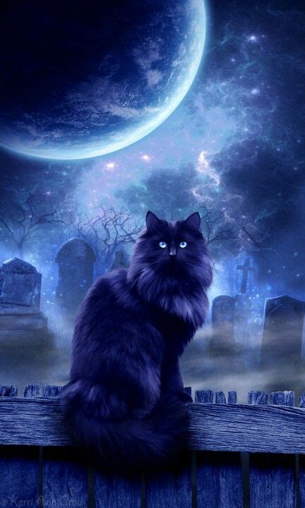 Bad luck | Beautiful cats, Black cat art, Cats