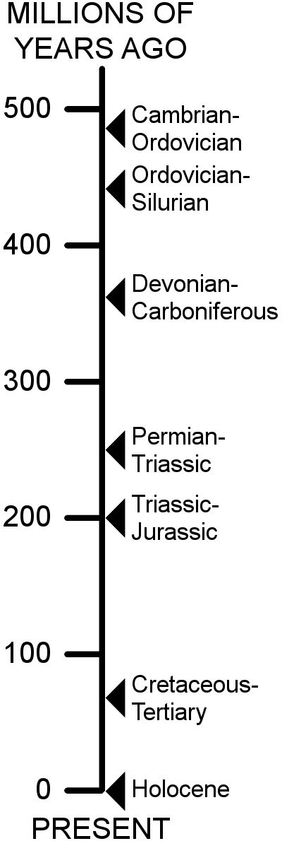 Mass Extinction Timeline | AP® Biology | Practice | Albert