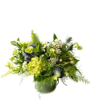 Seattle at From You Flowers