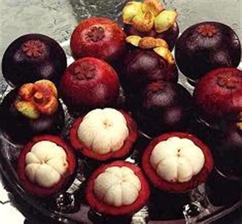 Mangosteen | Recipes Wiki | Fandom