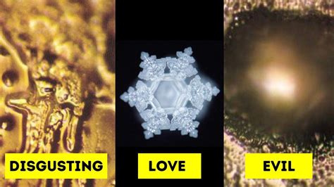 Masaru Emoto Water, Water Experiments, Structured Water, Japanese Water, Water Molecule ...