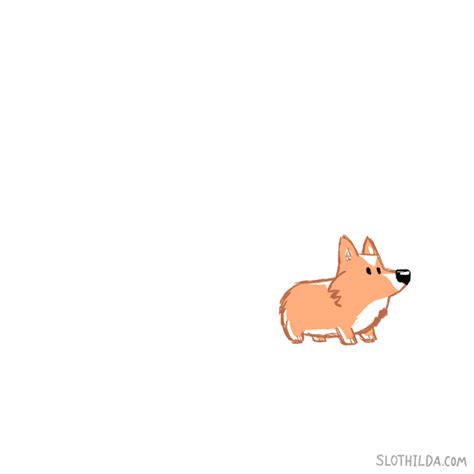 7 Life-Changing Ways To Upgrade Your Life This Month | Corgi gif, Corgi art, Dog animation